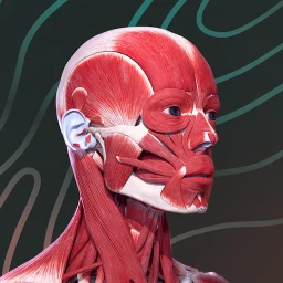 Biểu tượng Easy Anatomy 3D